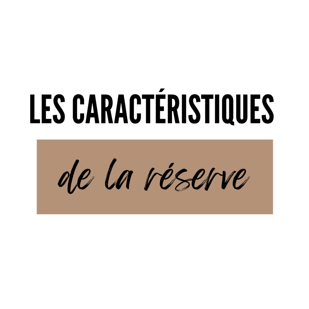 réserve véhicule magasin