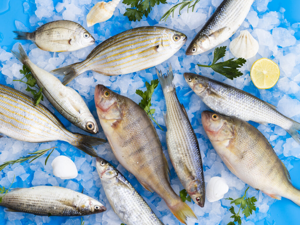 poissonnerie halle alimentaire : étalage poisson frais
